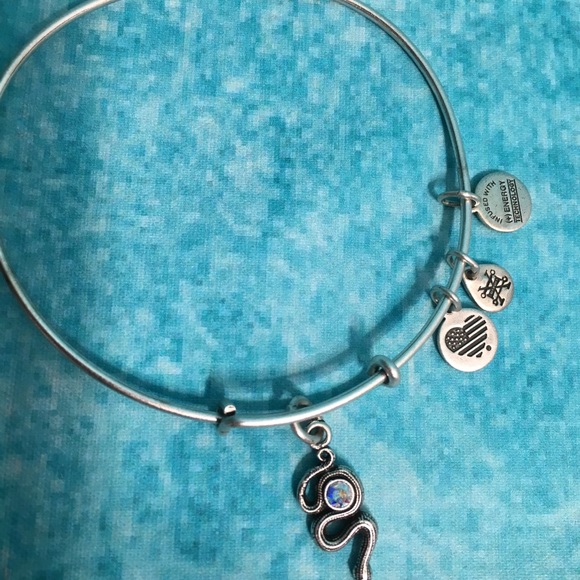 Alex and Ani Snake with Crystal Bangle - Picture 5 of 5
